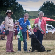 Chesil Bank Country Fayre 2015
